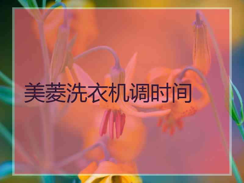 美菱洗衣机调时间