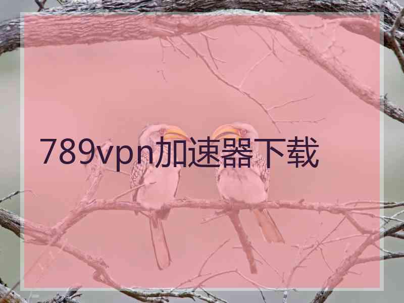 789vpn加速器下载