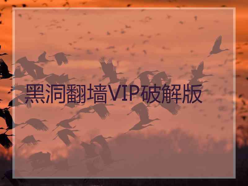 黑洞翻墙VIP破解版