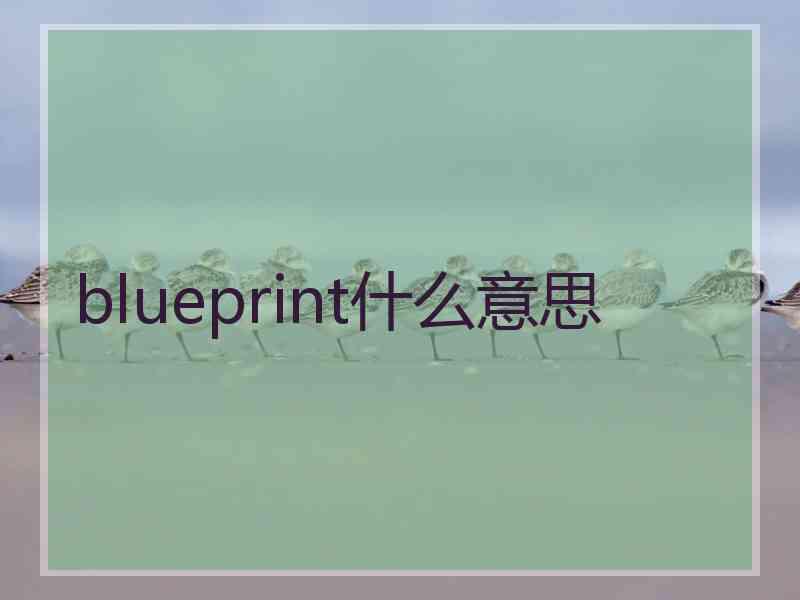 blueprint什么意思