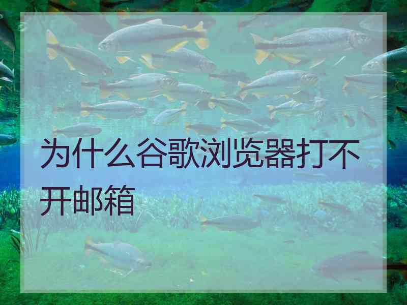 为什么谷歌浏览器打不开邮箱