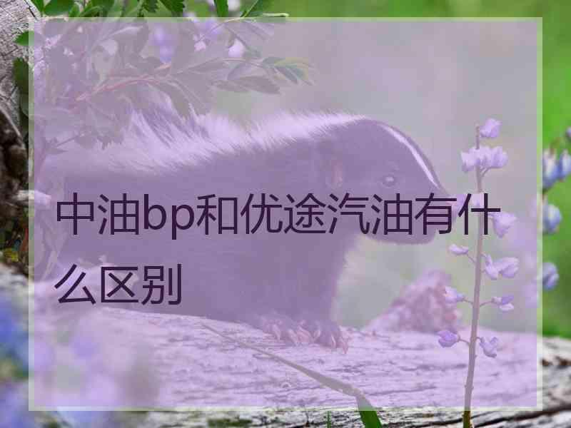 中油bp和优途汽油有什么区别