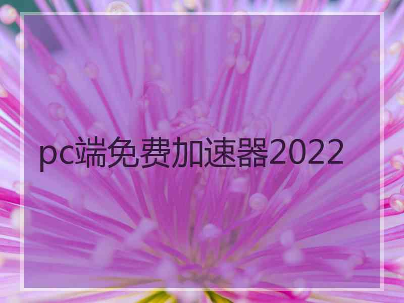 pc端免费加速器2022