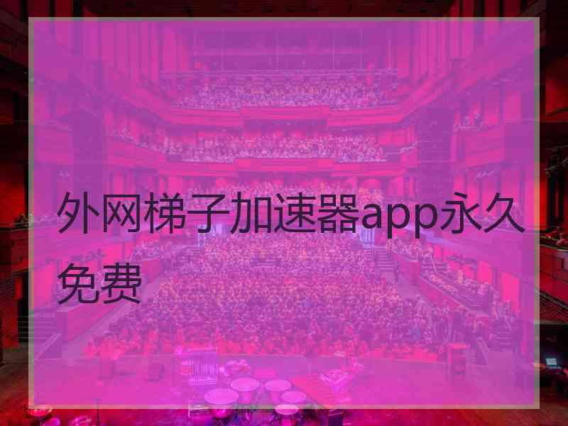 外网梯子加速器app永久免费