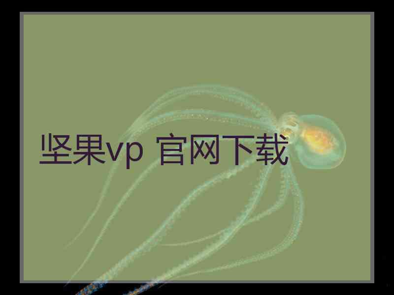 坚果vp 官网下载