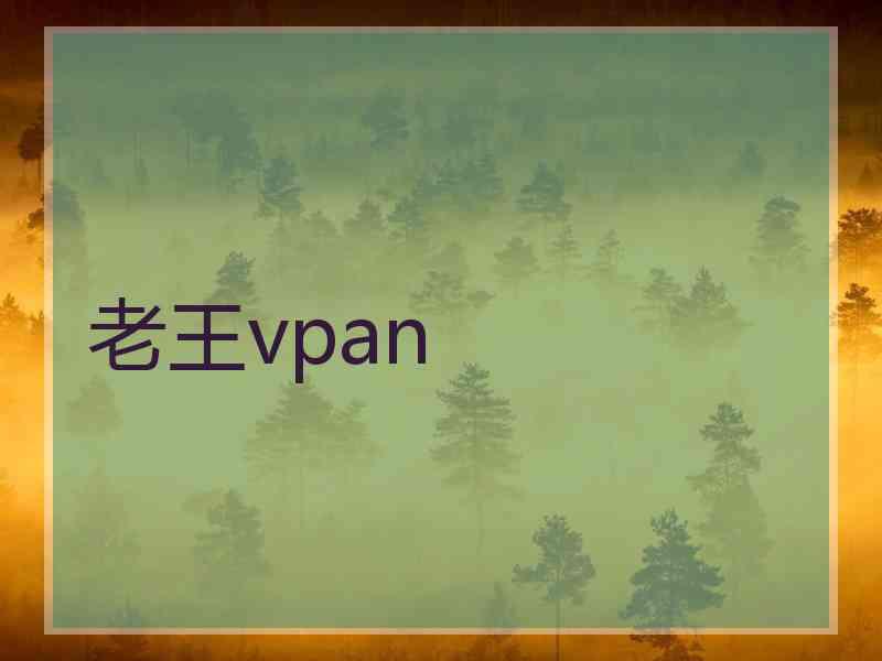 老王vpan