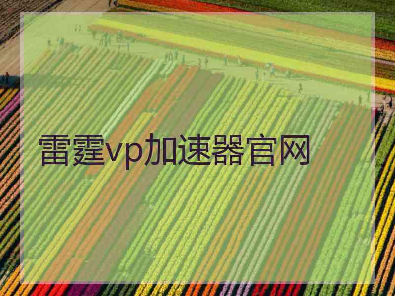 雷霆vp加速器官网