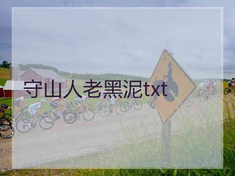 守山人老黑泥txt