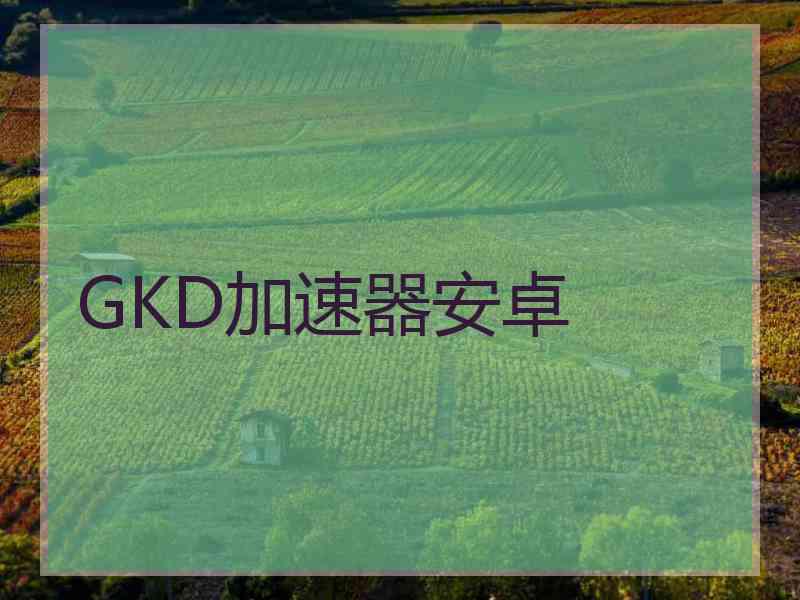 GKD加速器安卓