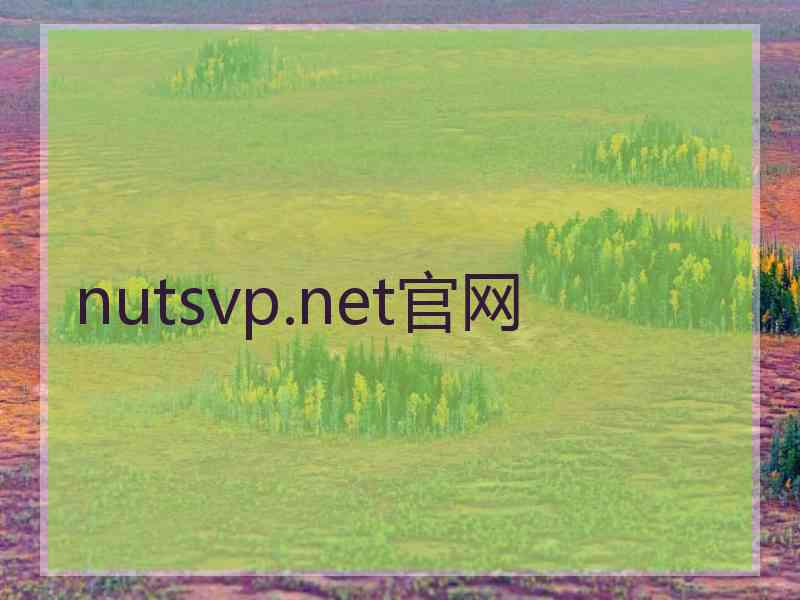 nutsvp.net官网