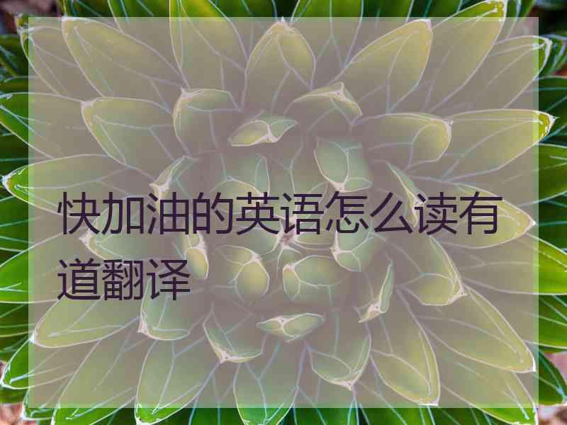 快加油的英语怎么读有道翻译