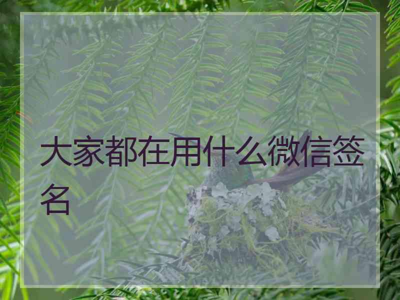 大家都在用什么微信签名