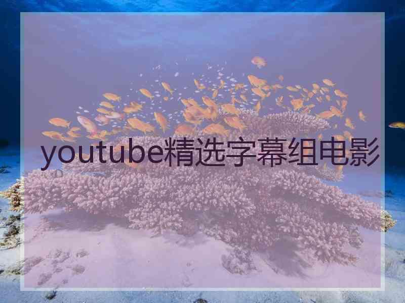 youtube精选字幕组电影