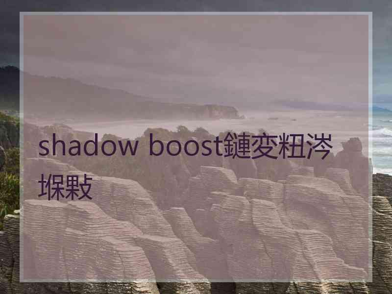 shadow boost鏈変粈涔堢敤