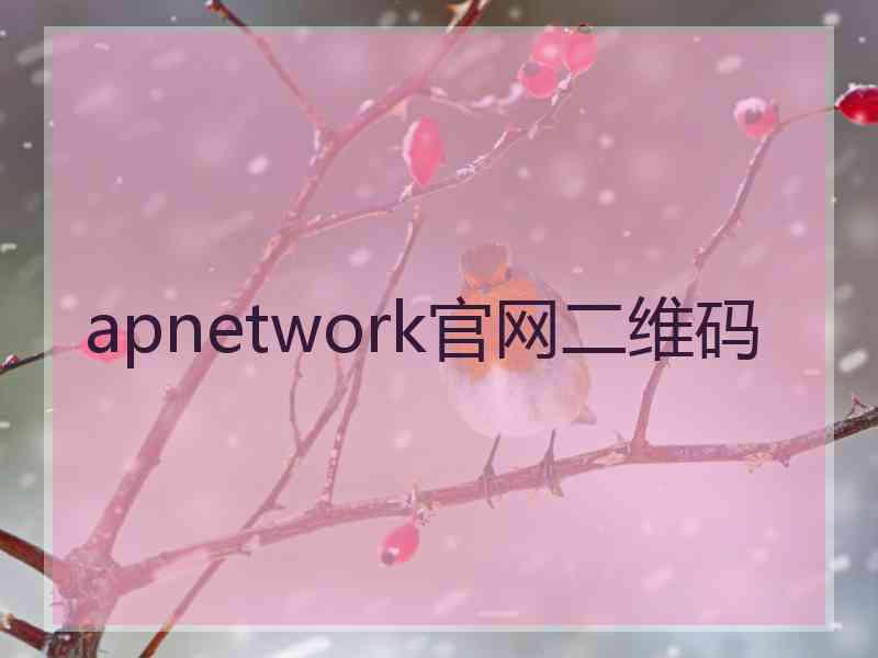 apnetwork官网二维码