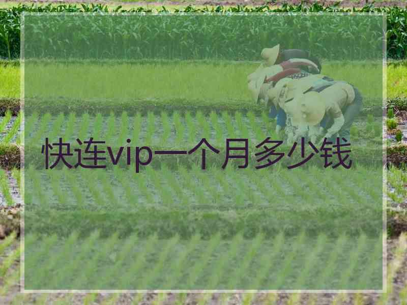 快连vip一个月多少钱