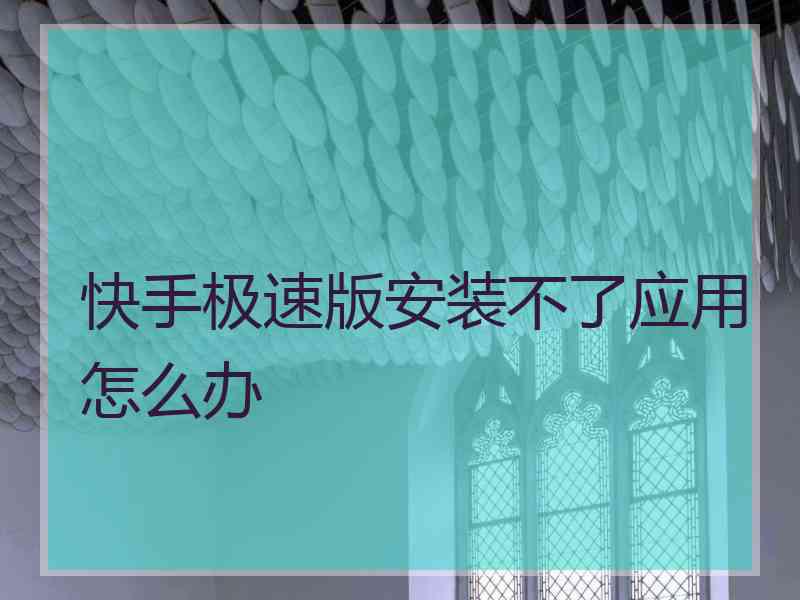 快手极速版安装不了应用怎么办