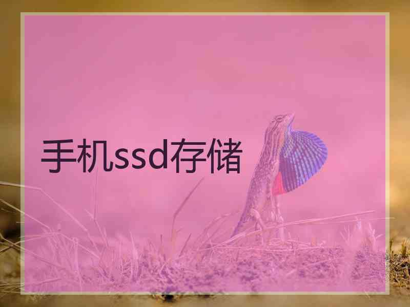 手机ssd存储