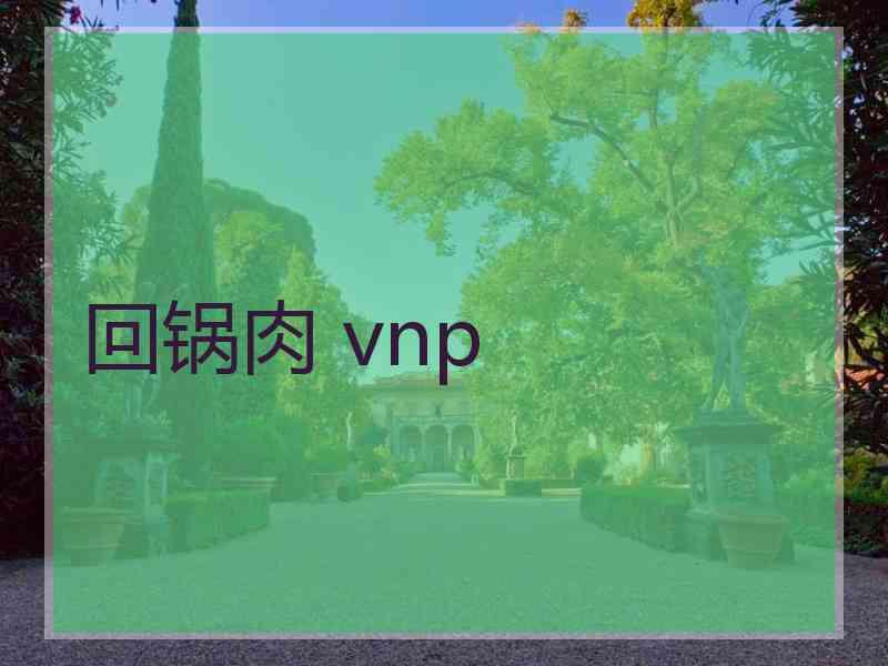 回锅肉 vnp