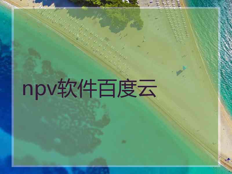 npv软件百度云