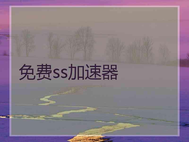 免费ss加速器