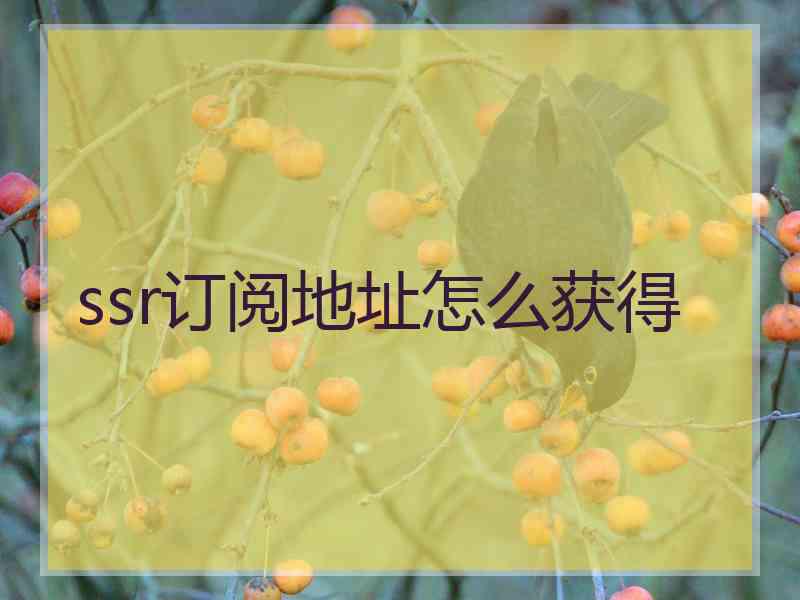 ssr订阅地址怎么获得