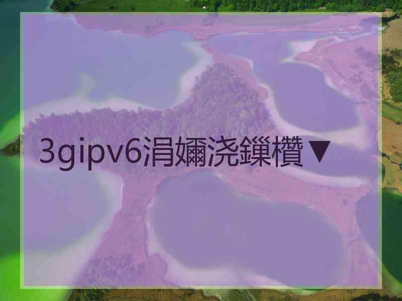 3gipv6涓嬭浇鏁欑▼