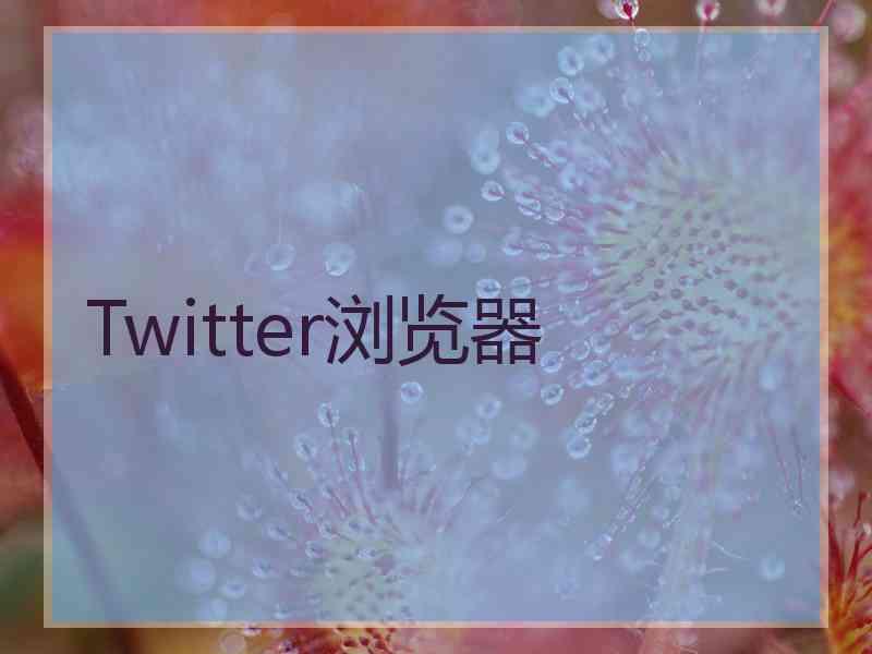 Twitter浏览器