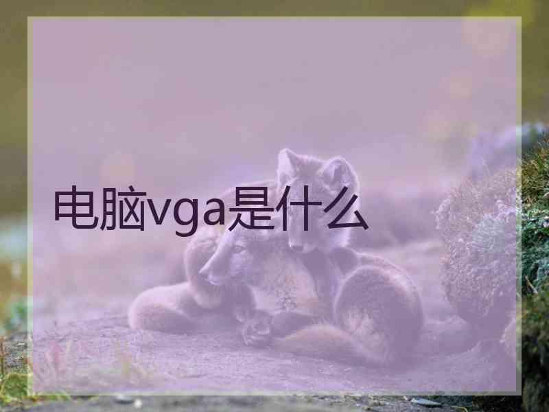 电脑vga是什么