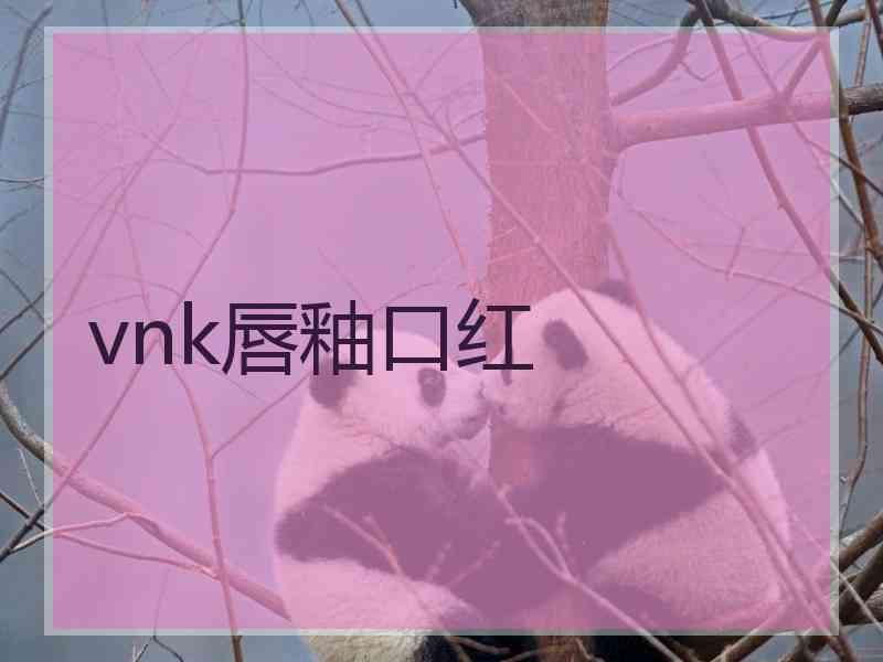 vnk唇釉口红