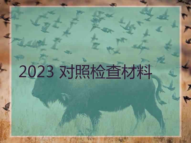 2023 对照检查材料