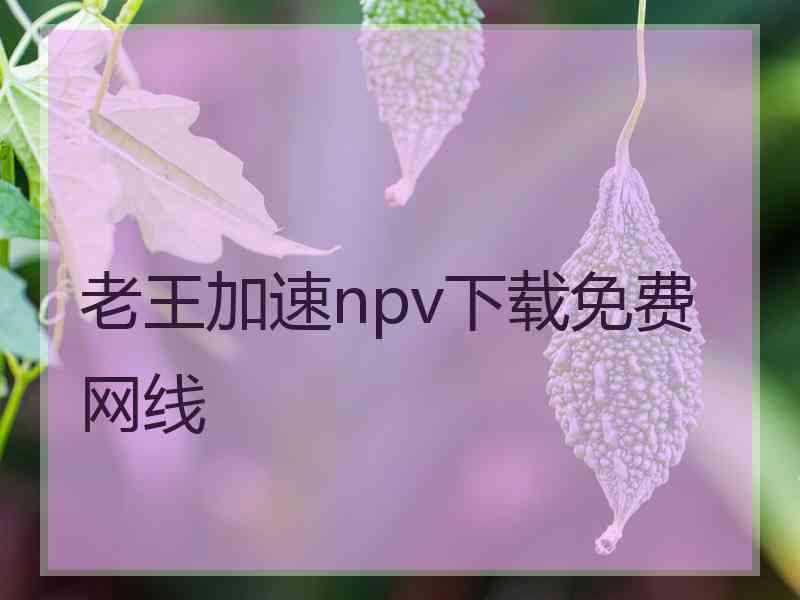 老王加速npv下载免费网线