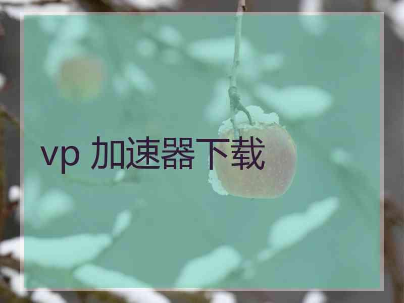 vp 加速器下载