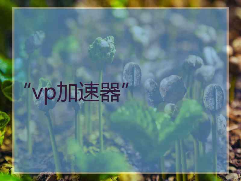 “vp加速器”