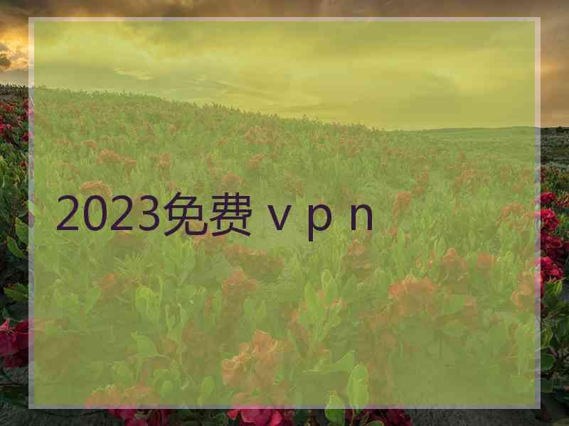 2023免费 v p n