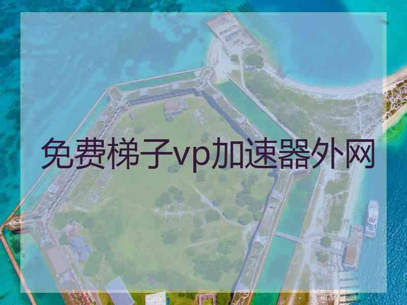 免费梯子vp加速器外网