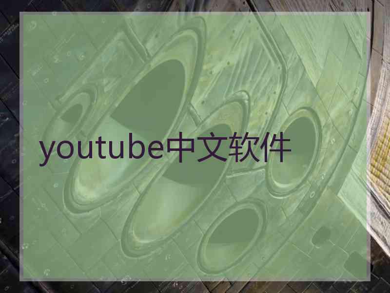 youtube中文软件