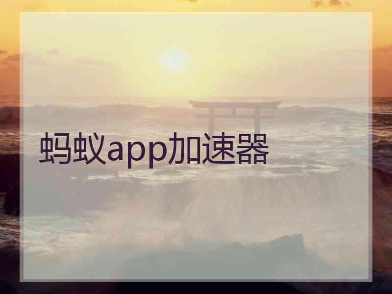 蚂蚁app加速器