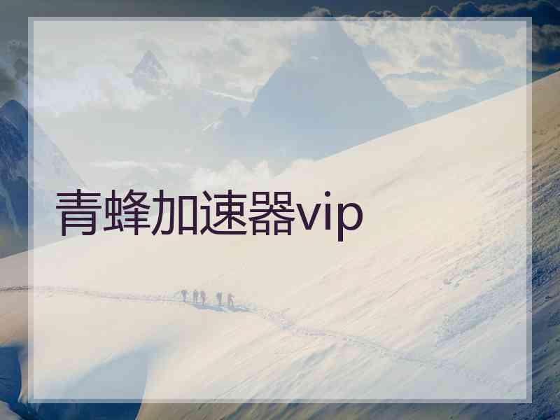 青蜂加速器vip