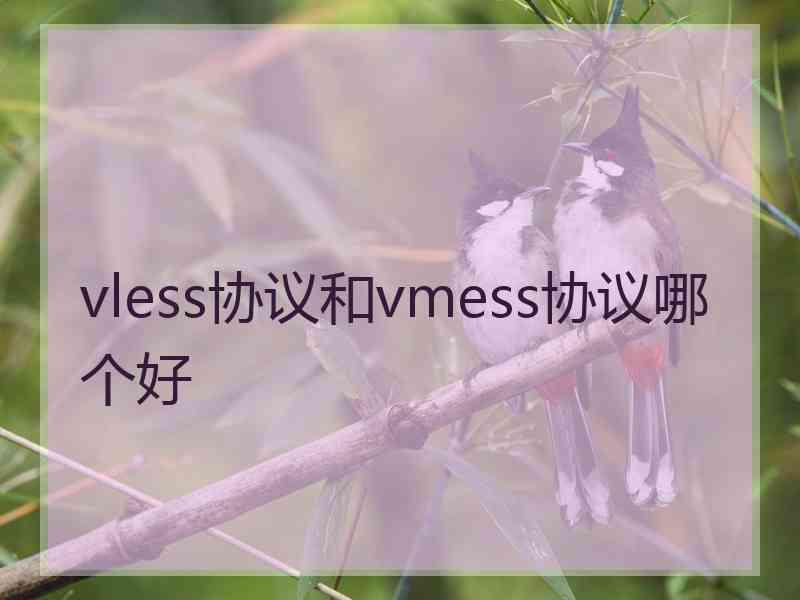 vless协议和vmess协议哪个好