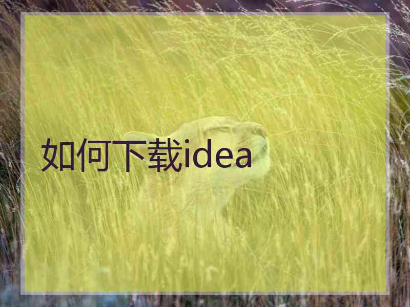 如何下载idea