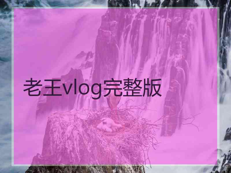 老王vlog完整版