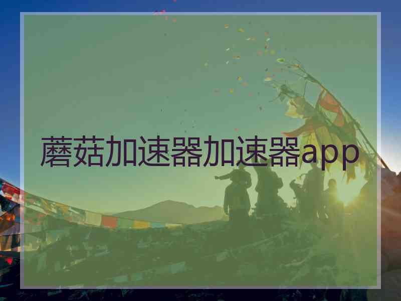 蘑菇加速器加速器app