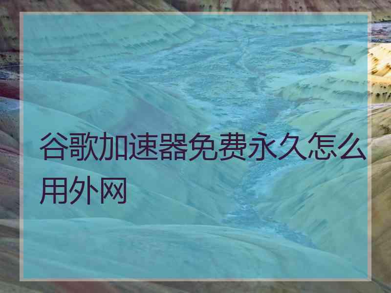 谷歌加速器免费永久怎么用外网