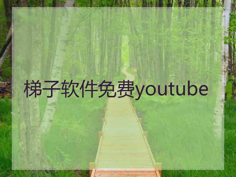 梯子软件免费youtube