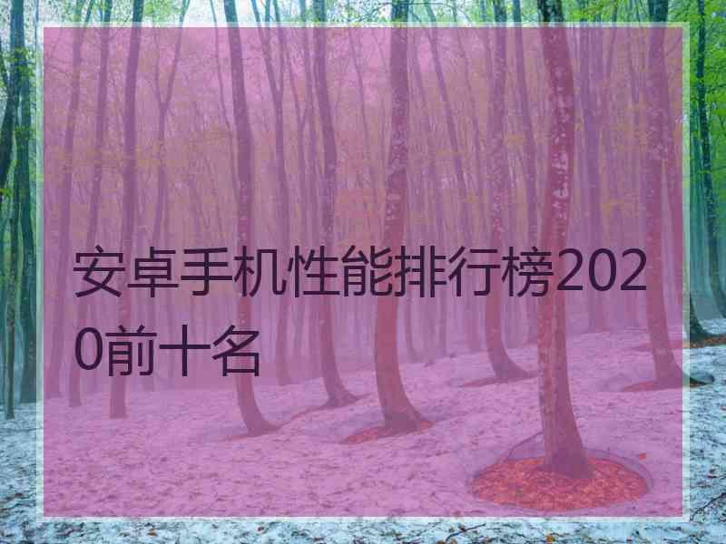 安卓手机性能排行榜2020前十名