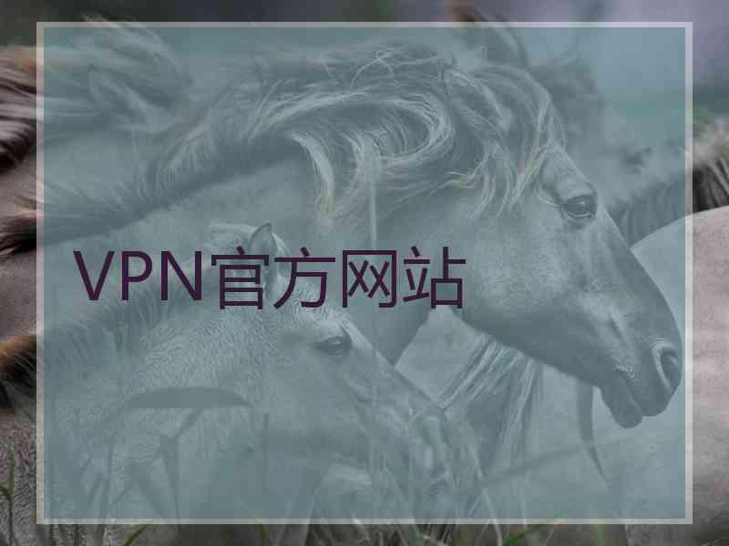 VPN官方网站