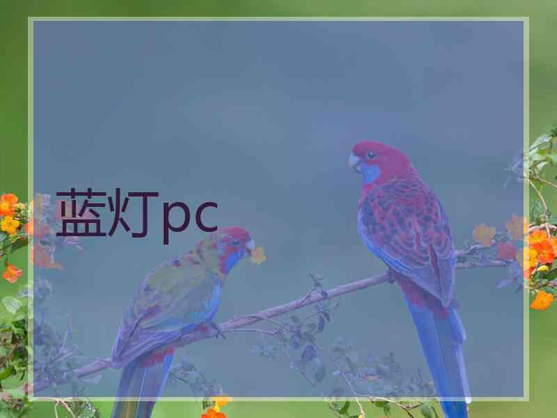 蓝灯pc