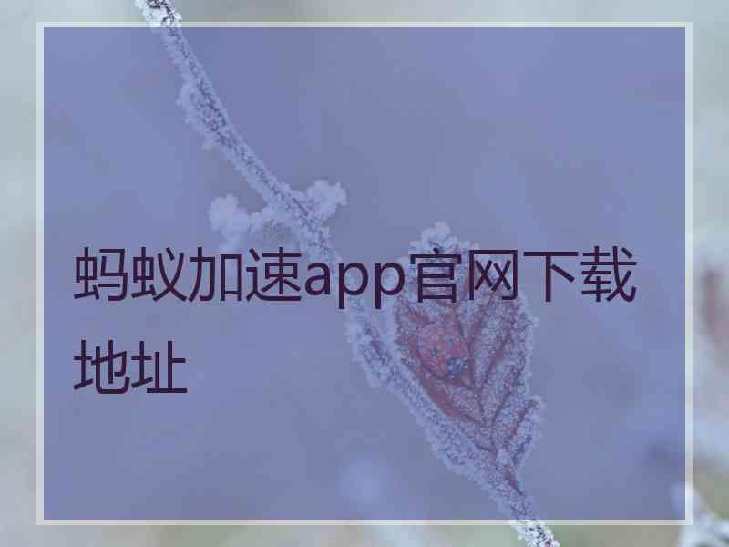 蚂蚁加速app官网下载地址