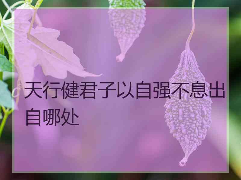 天行健君子以自强不息出自哪处